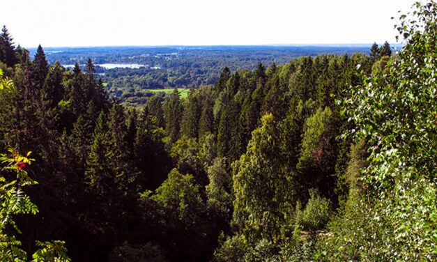 Jättadalen